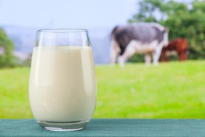 Glass of organic milk